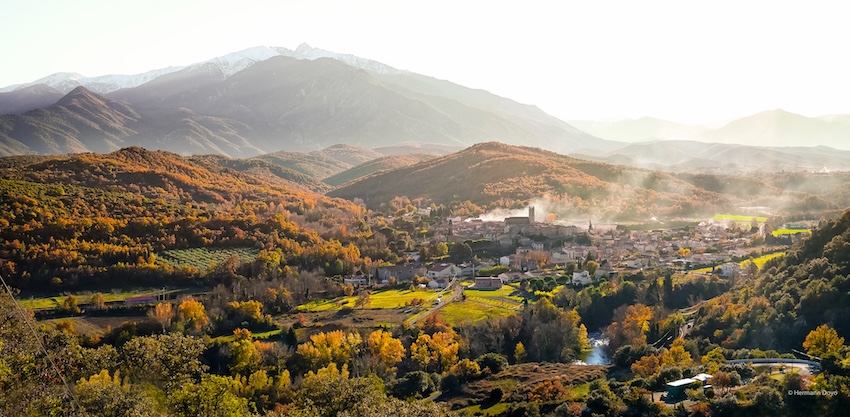 Photo by Doyo Hermann on Unsplash